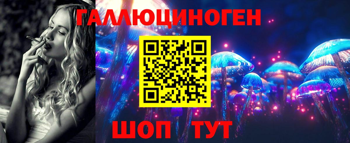 Галлюциногенные грибы Psilocybe  Галлюциногенные грибы MAGIC MUSHROOMS  Новороссийск  Вход с VPN 