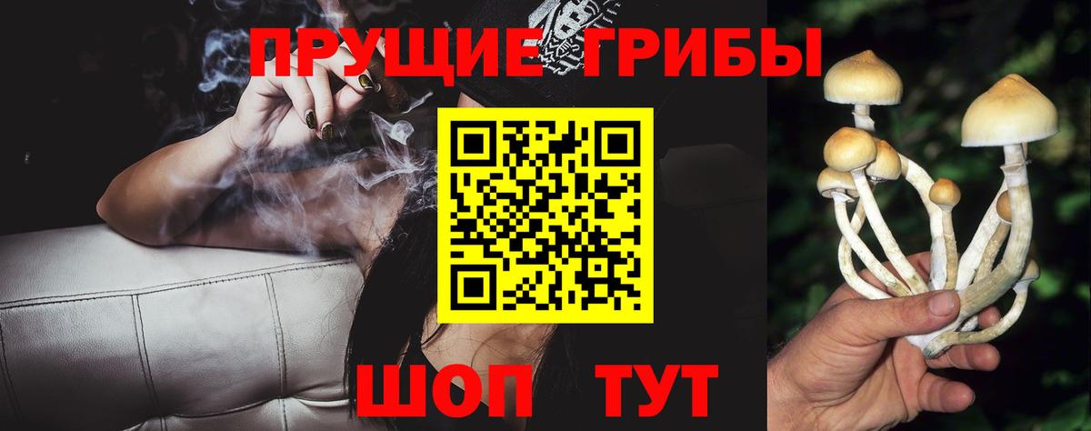 Галлюциногенные грибы GOLDEN TEACHER Новороссийск